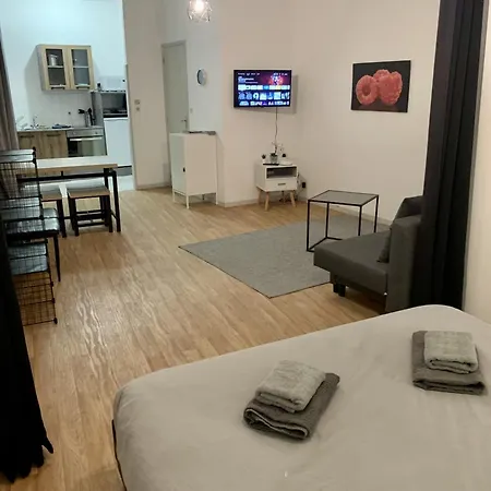 Studio Cosy - Hypercentre - Calme - 50M2 - Wi-Fi Graulhet Exterior photo