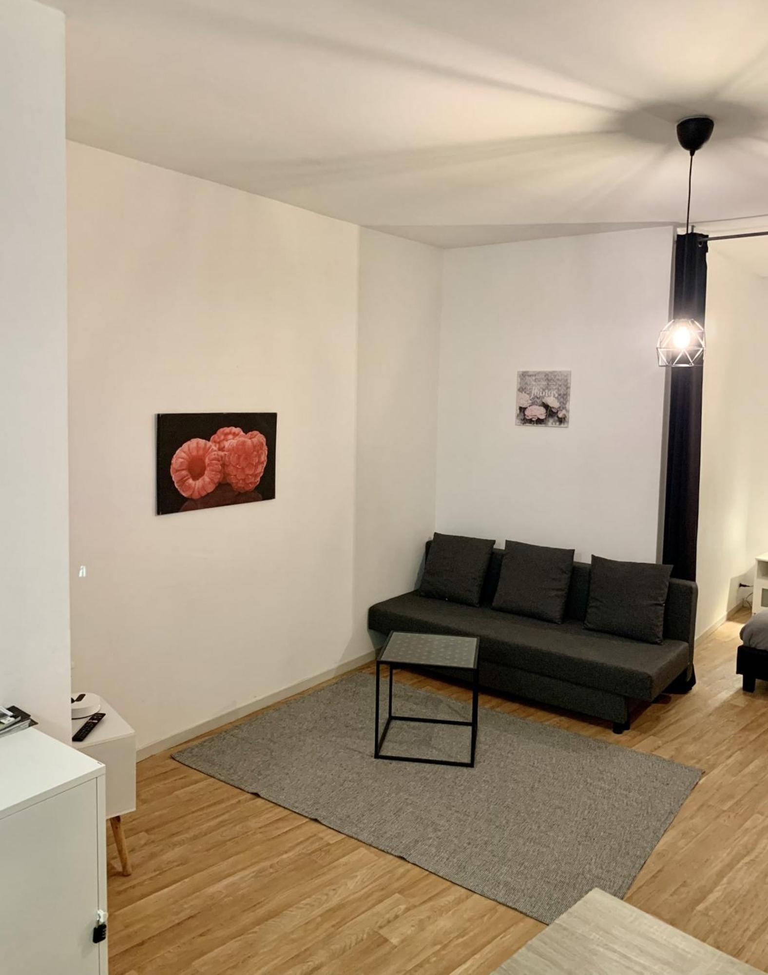 Apartment Cosy - Hypercentre - Calme - 50m2 - Wi-fi Graulhet
